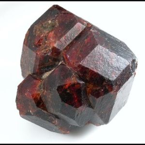 Meet your Posher, Tamia