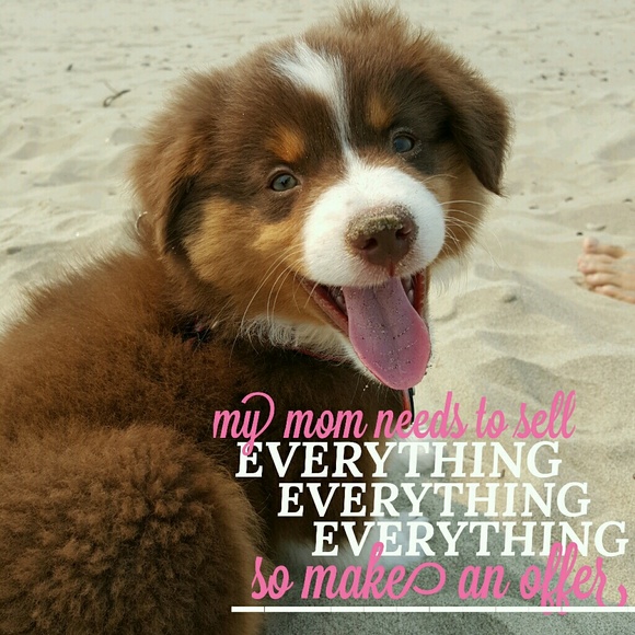 Moving & Everything needs to go! Offer!