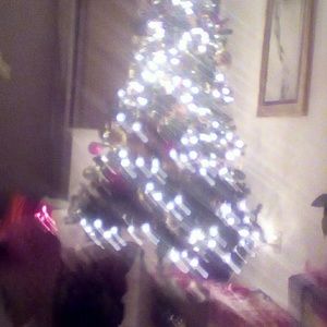 Meet your Posher, Lauryn