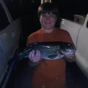 Meet your Posher, Brett