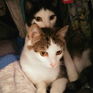 Meet your Posher, Jenn