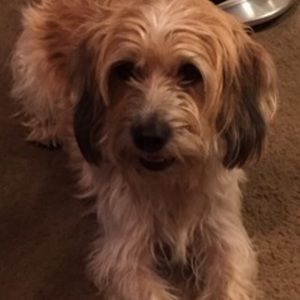 Meet your Posher, Sue