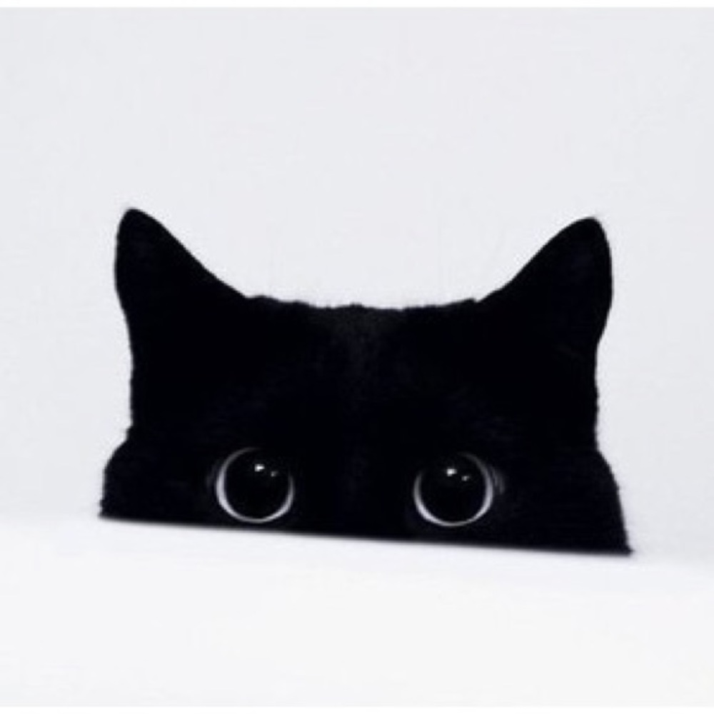 Meet your Posher, Chen