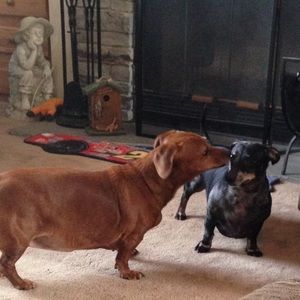 Meet your Posher, Tammy