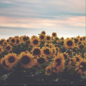 Meet your Posher, Maddy