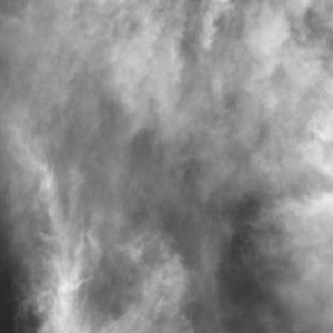 Meet your Posher, Serena