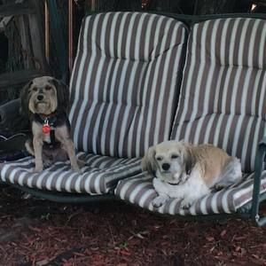 Meet your Posher, Tina