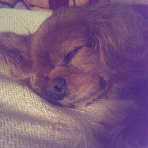 Meet your Posher, Nikki