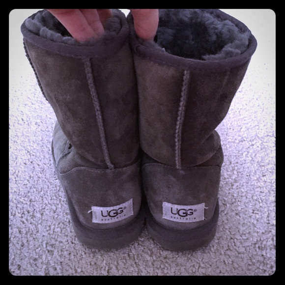 Gray classic UGGS