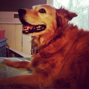 Meet your Posher, Bridget