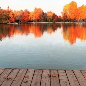 Meet your Posher, Mackenzie