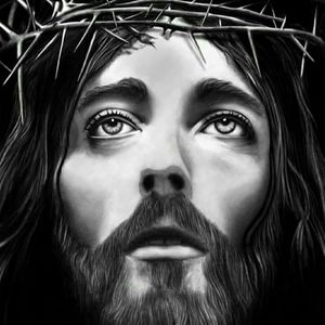 Meet your Posher, Millie