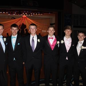 Meet your Posher, Wyatt