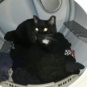 Meet your Posher, Kris