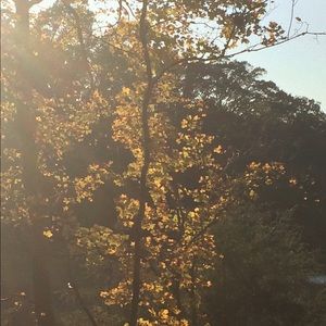 Meet your Posher, Becca