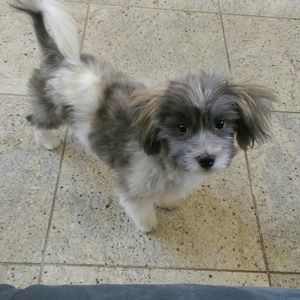 Meet your Posher, Ruthvi