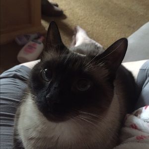 Meet your Posher, Lee ann