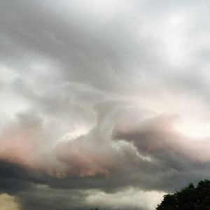 Meet your Posher, Jane