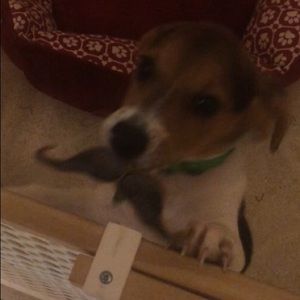 Meet your Posher, Ana