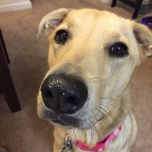 Meet your Posher, Angela