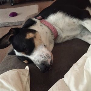 Meet your Posher, Amelia