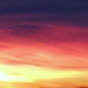 Meet your Posher, Shallie