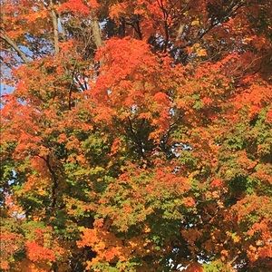 Meet your Posher, Suzy