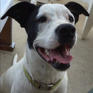 Meet your Posher, Brittney