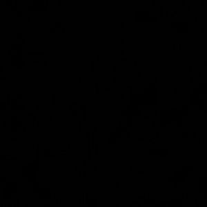 Meet your Posher, Candis