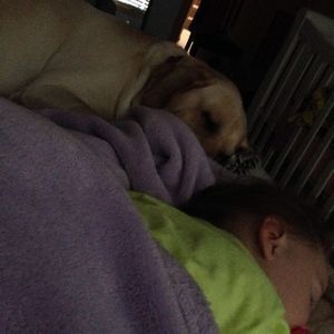 Meet your Posher, Bailey