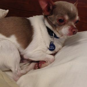 Meet your Posher, Denisa