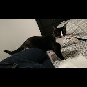 Meet your Posher, Brittany