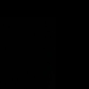 Meet your Posher, Bailey