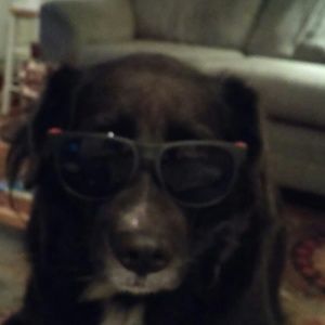 Meet your Posher, Cassandra