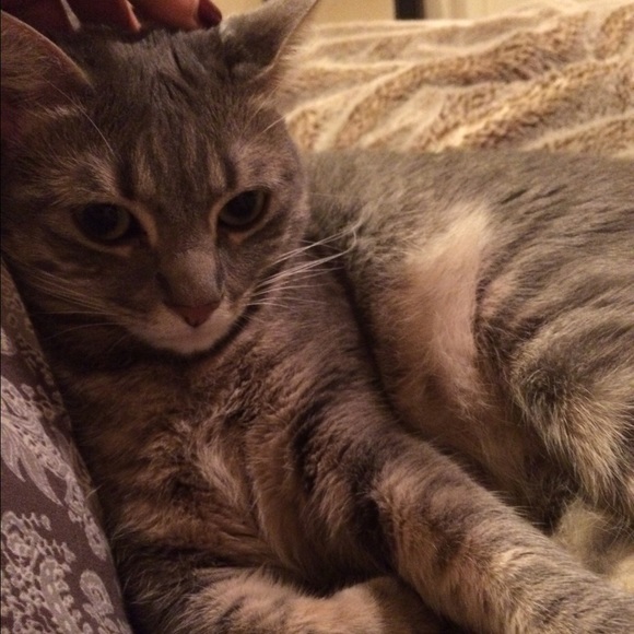 Meet your Posher, Becca. - Picture 3 of 5