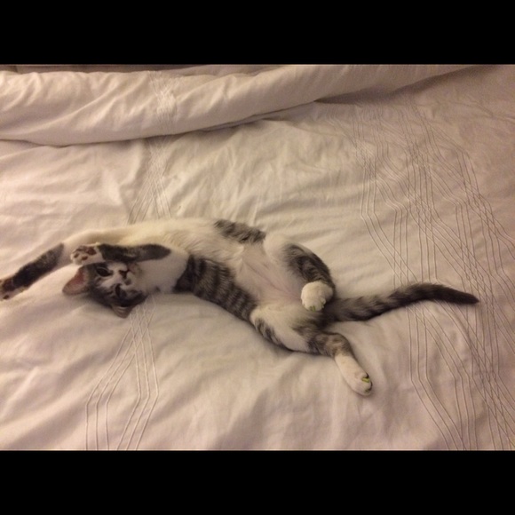 Meet your Posher, Nadia - Picture 1 of 1