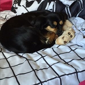 Meet your Posher, Nicole