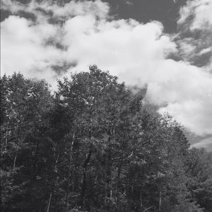 Meet your Posher, Maybelle