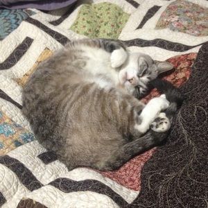 Meet your Posher, Dallas