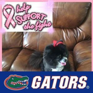 Meet your Posher, Loretta