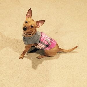 Meet your Posher, Janeth