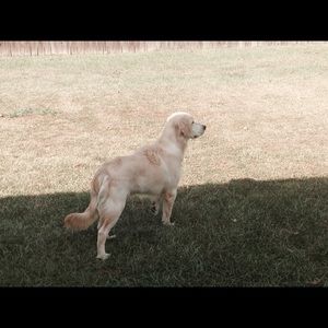 Meet your Posher, Will