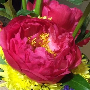 Meet your Posher, Angeline