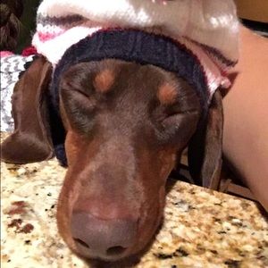 Meet your Posher, Ally