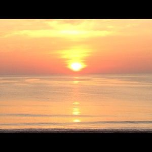 Meet your Posher, Ginger