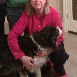 Meet your Posher, Shelby