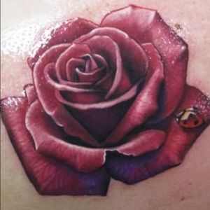 Meet your Posher, Allison