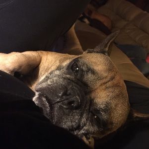 Meet your Posher, Bethany