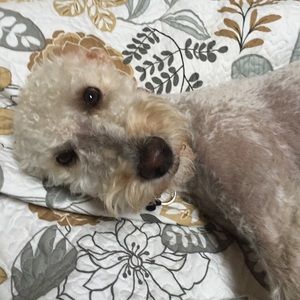 Meet your Posher, Beth