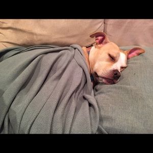 Meet your Posher, Susan